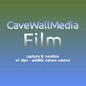CaveWallMedia-Film link